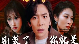 女律师的脆弱