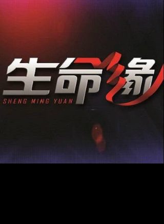 迟到的初恋下载