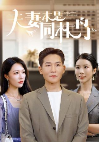 宋佳《救我》电影叫什么