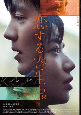 角色扮演单机游戏破解版