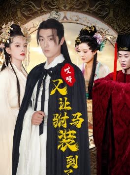 招惹全集在线观看免费