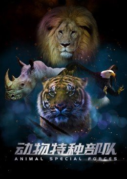 烽火佳人9集免费观看电视剧完整版高清下载