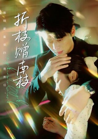 美少女战士 最后的星光 动漫