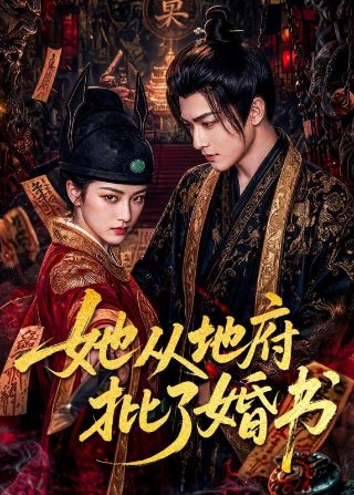 大漠枪神13集免费观看电视剧下载安装