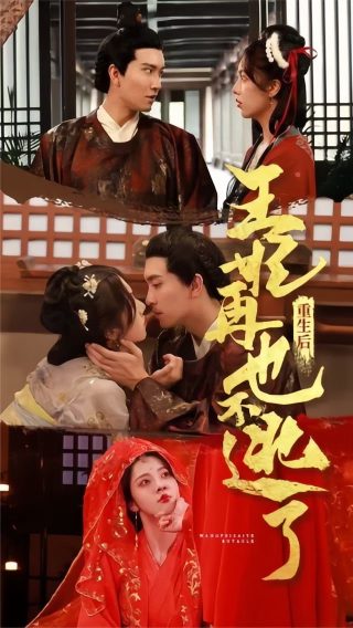我是特种兵37集