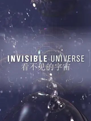 电影《双程》第二季在线观看高清视频免费版全集