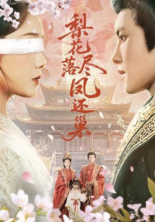 蜗居电视剧全集高清在线观看