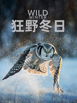 我们的歌第二季在线观看高清