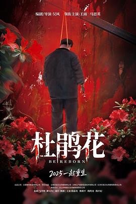 电影王牌保镖爱奇艺
