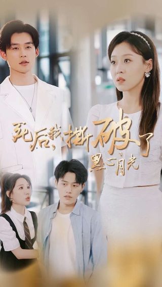 律师本色第一季在线