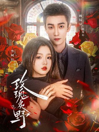 se窝窝