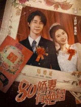 伴我纵横何家驹主演