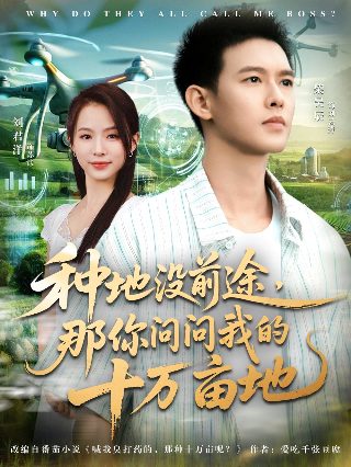 一体壶电影免费播放