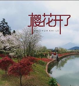 纸钞屋柏林一共几季