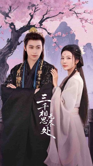 宝物岛电视剧第11集免费观看全集