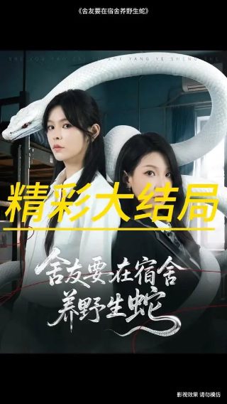 灵域第三季第七集解析