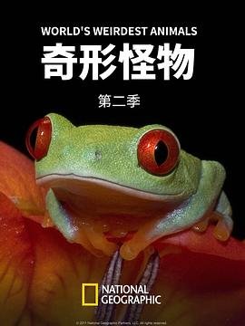 刺客567全集免费观看第三季