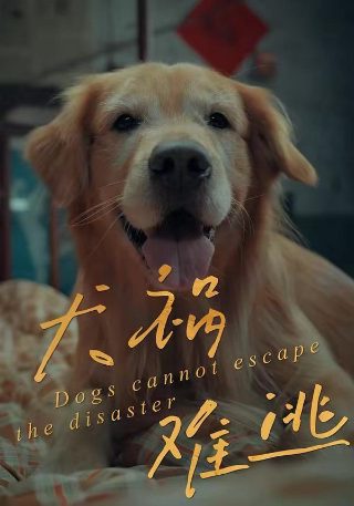 心宅猎人第16集在线观看免费