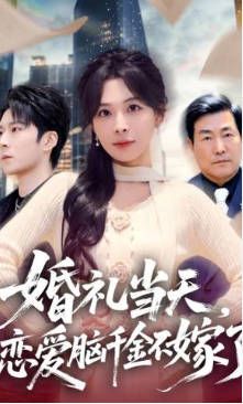 上瘾 电视剧在线观看全集