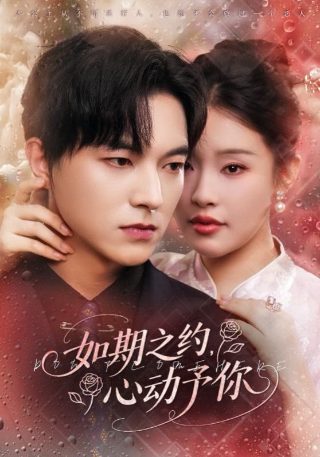 山里红歌词完整版 孙艺琪