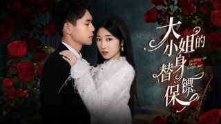 欢乐颂樊胜美的男朋友