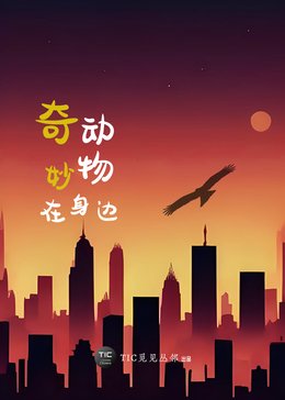 海军陆战队连续剧有哪些好看的