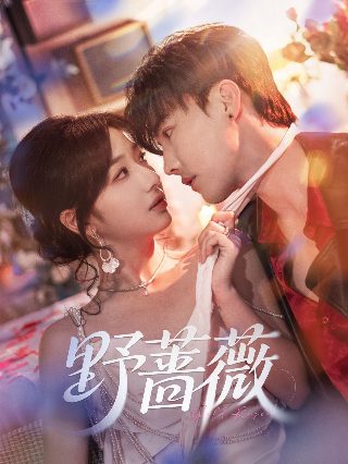 丑小鸭的故事上集