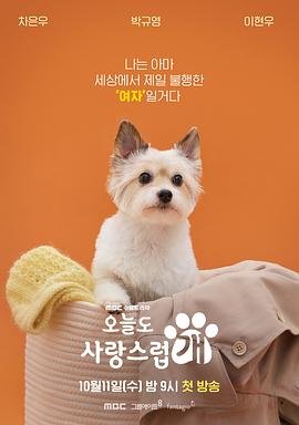 《失笑》电视剧最高热度是多少啊在线观看