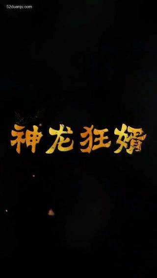 神探包青天第二部剧情介绍全集