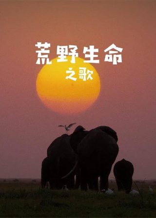 歌曲少年谁唱的最好听呢