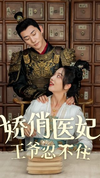 《傻王闯天下》电视剧演员表大全图片