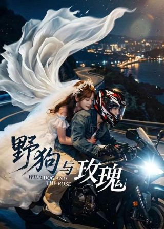 金牌调解20190820