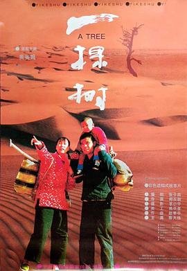 步履不停 向心而生什么意思