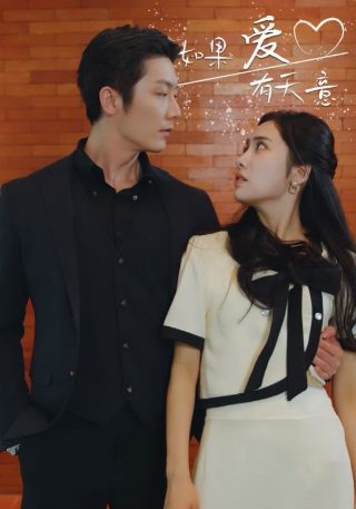 追风逐梦
