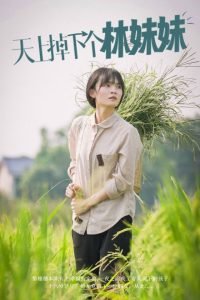 那年我出生你脸上乐开了花是什么歌