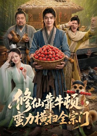沉默的证人豆瓣影评