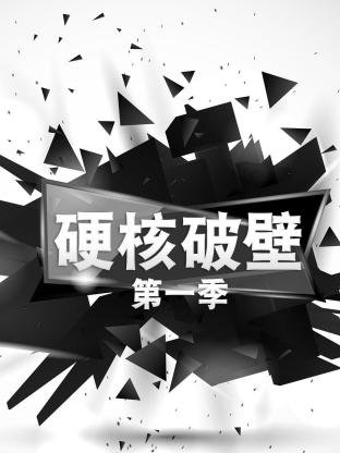 王菲 春晚