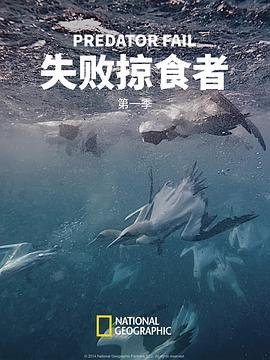 保镖1973意大利