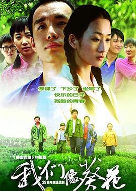 《熊猫的故事》电影完整版免费观看