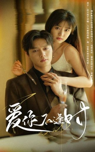 电视剧《有爱就有家》结局是什么意思