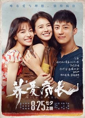 铁血战狼第1集免费观看国语