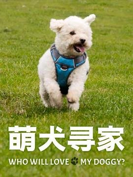 电波女与青春男在哪看