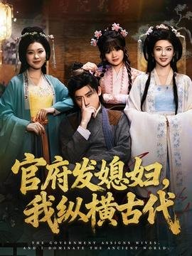 银实国语版手机免费观看