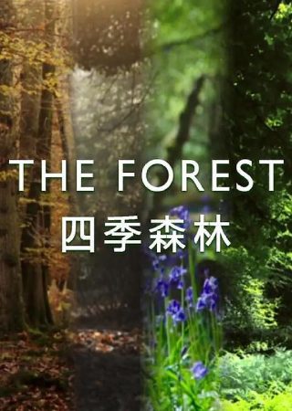 八角笼中高清版免费在线观看