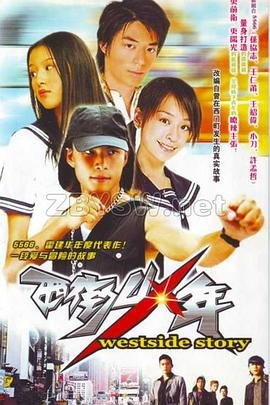 阴阳奇兵豆瓣评分多少