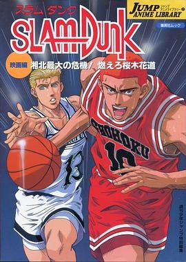 《红衣坊》郝老师是谁啊视频讲解全集免费