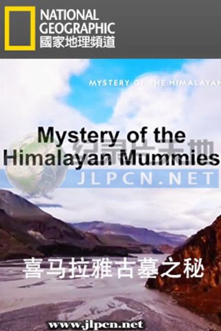 《21世纪大君夫人》全集资源在线观看12集视频