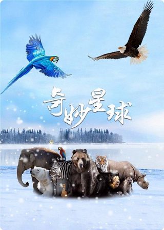 生化危机:浣熊市行动电脑