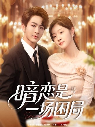 枕上书2020电视剧高清全集