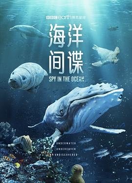 遮天第120集完整版下载百度云资源